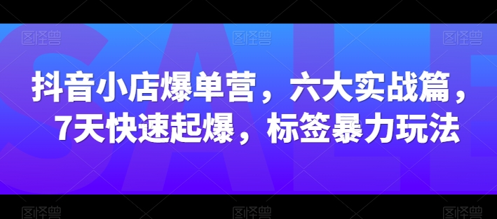 抖音小店爆单营，六大实战篇，7天快速起爆，标签暴力玩法-阳知网创资源库