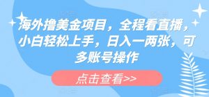 海外撸美金项目，全程看直播，小白轻松上手，日入一两张，可多账号操作【揭秘】-阳知网创资源库