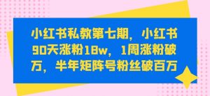 小红书私教第七期,小红书90天涨粉18w,1周涨粉破万,半年矩阵号粉丝破百万-阳知网创资源库
