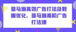 亚马逊高效广告打法及数据优化,亚马逊高阶广告打法课-阳知网创资源库