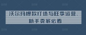 沃尔玛爆款打造与旺季运营,新手卖家必看-阳知网创资源库