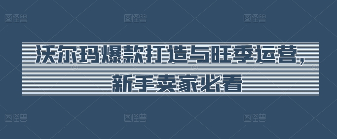沃尔玛爆款打造与旺季运营,新手卖家必看-阳知网创资源库