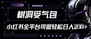 小红书等全平台树洞受气包项目,轻松日入一两张【揭秘】-阳知网创资源库