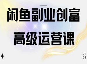 闲鱼电商运营高级课程，一部手机学会闲鱼开店赚钱-阳知网创资源库