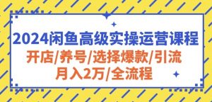 2024闲鱼高级实操运营课程:开店/养号/选择爆款/引流/月入2万/全流程-阳知网创资源库