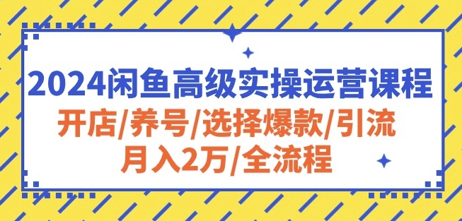 2024闲鱼高级实操运营课程:开店/养号/选择爆款/引流/月入2万/全流程-阳知网创资源库
