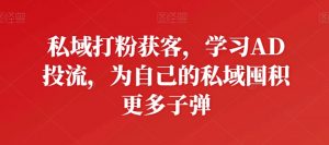 私域打粉获客,学习AD投流,为自己的私域囤积更多子弹-阳知网创资源库