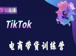 TikTok电商带货训练营，跟随时代潮流，跨境掘金-阳知网创资源库