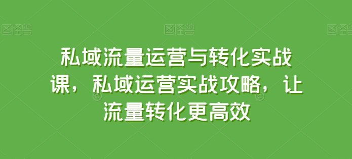 私域流量运营与转化实战课,私域运营实战攻略,让流量转化更高效-阳知网创资源库