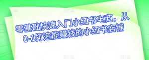 零基础快速入门小红书电商,从0-1打造能赚钱的小红书店铺-阳知网创资源库