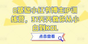 0基础小红书博主IP训练营,37天天教你从小白到KOL-阳知网创资源库