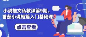 小说推文私教课第9期,番茄小说短篇入门基础课-阳知网创资源库