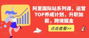 阿里国际站系列课,运营TOP养成计划,升职加薪,跨境掘金-阳知网创资源库