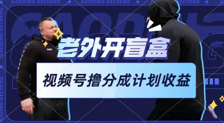 老外开盲盒视频,撸视频号分成计划收益,每天只需一小时,新手小白轻松上手【揭秘】-阳知网创资源库