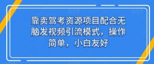 靠卖驾考资源项目配合无脑发视频引流模式，操作简单，小白友好【揭秘】-阳知网创资源库
