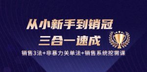 从小新手到销冠 三合一速成:销售3法+非暴力关单法+销售系统挖需课 (27节)-阳知网创资源库