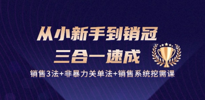 从小新手到销冠 三合一速成:销售3法+非暴力关单法+销售系统挖需课 (27节)-阳知网创资源库