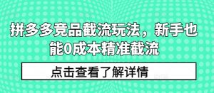 拼多多竞品截流玩法,新手也能0成本精准截流-阳知网创资源库