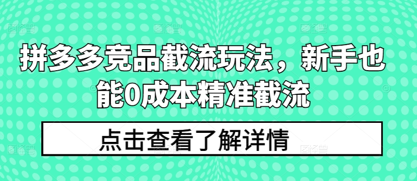 拼多多竞品截流玩法,新手也能0成本精准截流-阳知网创资源库