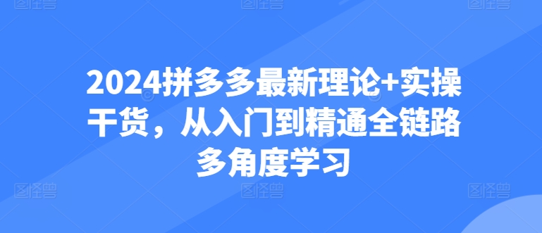 2024拼多多最新理论+实操干货,从入门到精通全链路多角度学习-阳知网创资源库