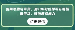 视频号搬运带货，满100粉丝即可开通橱窗带货，玩法非常暴力【揭秘】-阳知网创资源库