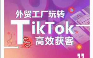 外贸工厂玩转TikTok高效获客,多种引流方式与账号定位技巧,拆解爆款短视频打造成功案例-阳知网创资源库