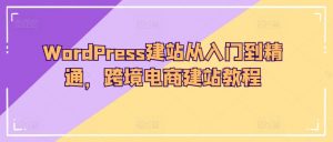 WordPress建站从入门到精通,跨境电商建站教程-阳知网创资源库