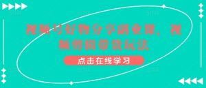 视频号好物分享副业课,视频剪辑带货玩法-阳知网创资源库