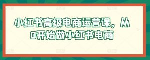小红书高级电商运营课,从0开始做小红书电商-阳知网创资源库