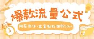 爆款流量公式，网易热评+文案轻松涨粉50w+【揭秘】-阳知网创资源库