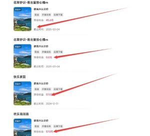 磁力聚星游戏副业陪跑训练营1.0,长期稳定项目,有人一周干了1K+-阳知网创资源库