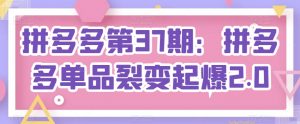 拼多多第37期:拼多多单品裂变起爆2.0-阳知网创资源库