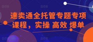 速卖通全托管专题专项课程,实操 高效 爆单-阳知网创资源库