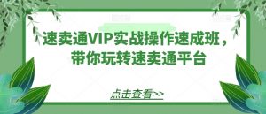 速卖通VIP实战操作速成班,带你玩转速卖通平台-阳知网创资源库