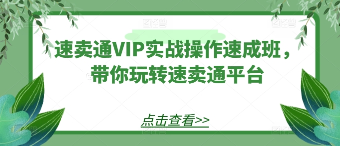 速卖通VIP实战操作速成班,带你玩转速卖通平台-阳知网创资源库