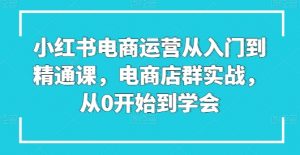 小红书电商运营从入门到精通课，电商店群实战，从0开始到学会-阳知网创资源库