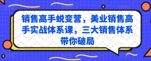 销售高手蜕变营,美业销售高手实战体系课,三大销售体系带你破局-阳知网创资源库