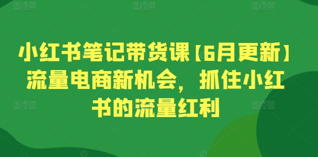 小红书笔记带货课【6月更新】流量电商新机会,抓住小红书的流量红利-阳知网创资源库