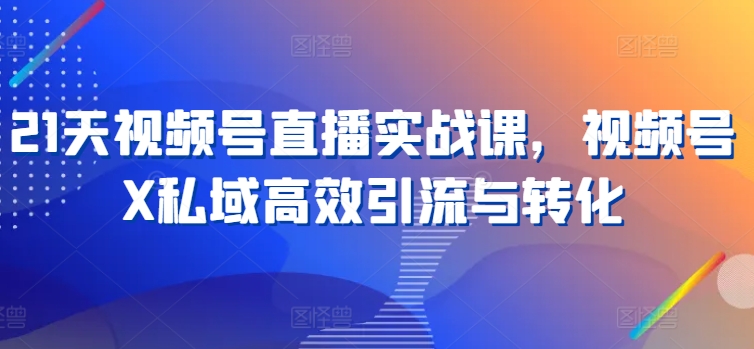21天视频号直播实战课,视频号X私域高效引流与转化-阳知网创资源库