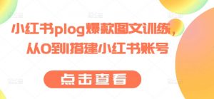小红书plog爆款图文训练,从0到1搭建小红书账号-阳知网创资源库