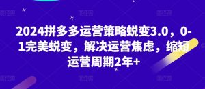2024拼多多运营策略蜕变3.0，0-1完美蜕变，解决运营焦虑，缩短运营周期2年+-阳知网创资源库