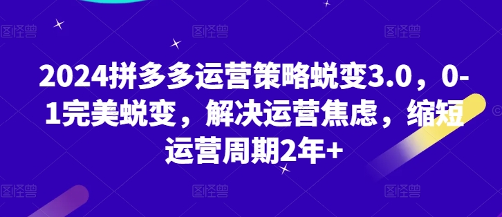 2024拼多多运营策略蜕变3.0,0-1完美蜕变,解决运营焦虑,缩短运营周期2年+-阳知网创资源库