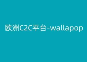 欧洲C2C平台-wallapop-kim跨境电商教程-阳知网创资源库