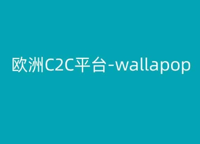 欧洲C2C平台-wallapop-kim跨境电商教程-阳知网创资源库