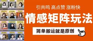 简单搬运，情感矩阵玩法，涨粉速度快，可带货，可起号【揭秘】-阳知网创资源库