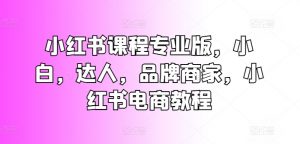 小红书课程专业版,小白,达人,品牌商家,小红书电商教程-阳知网创资源库