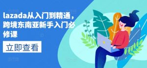 lazada从入门到精通,跨境东南亚新手入门必修课-阳知网创资源库