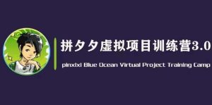 黄岛主·拼夕夕虚拟变现3.0，蓝海平台的虚拟项目，单天50-500+纯利润-阳知网创资源库