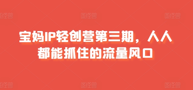 宝妈IP轻创营第三期，人人都能抓住的流量风口-阳知网创资源库