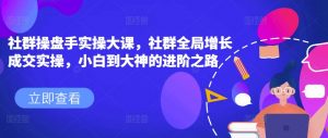 社群操盘手实操大课,社群全局增长成交实操,小白到大神的进阶之路-阳知网创资源库